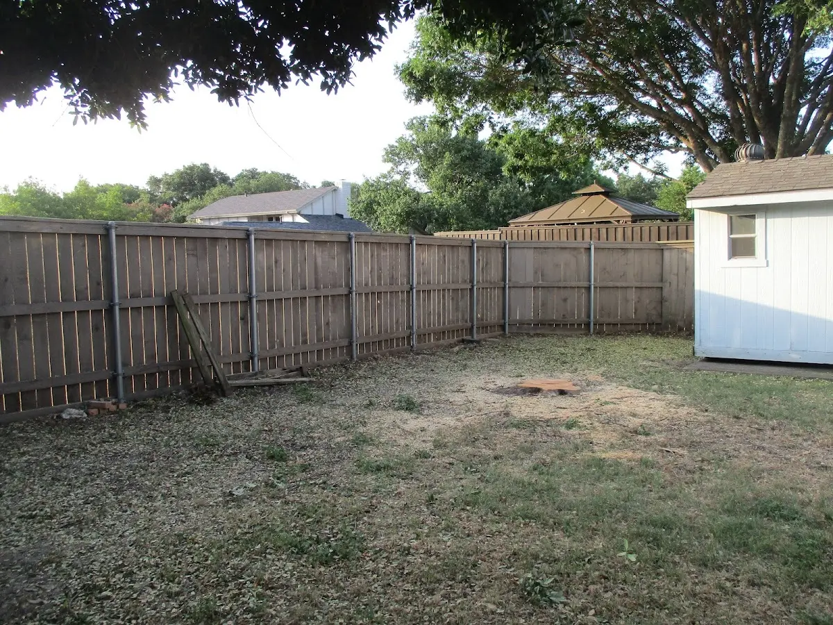 Cleared yard after professional tree removal in Marble Hill